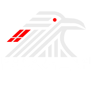 raven digital marketing Logo